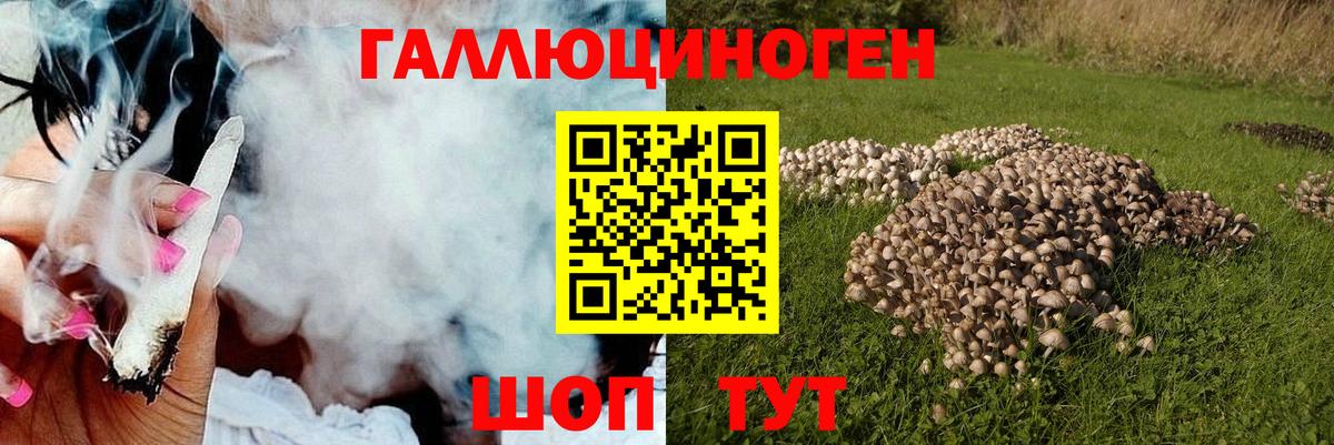Кострома  наркошоп  Псилоцибиновые грибы Psilocybe  Вход с VPN  Псилоцибиновые грибы Psilocybine cubensis 