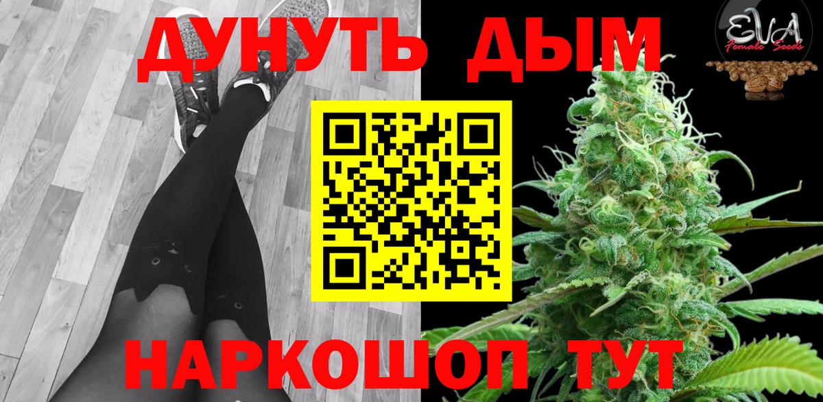 Бошки Шишки план Кострома